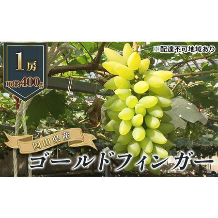 ふるさと納税 ぶどう 2024年 先行予約 ゴールドフィンガー 1房 約400g ブドウ 葡萄  岡山市産 国産 フルーツ 果物 ギフト 岡山県岡山市