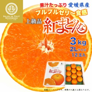 [予約 12月1日-12月30日の納品] 紅まどんな 3kg 2L 愛媛県 化粧箱 冬ギフト お歳暮 御歳暮