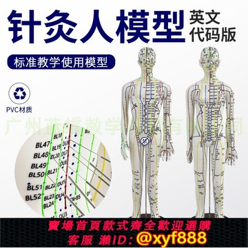 {可打統編 保固一年}英文代碼針灸穴位人體模型 英文版可扎針中醫穴位經絡推拿按摩