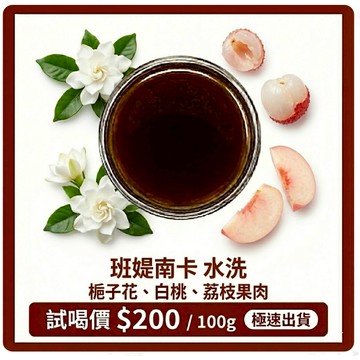 【經典水洗】衣索比亞 古吉 班媞南卡 咖啡豆 100g | 圓石 白桃 荔枝果肉 梔子花