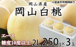 白桃 エース 3玉×約250g（2Lサイズ） JA おかやま のもも（早生種・中生種） 岡山県産 桃 もも 果物 フルーツ 2023年 先行予約