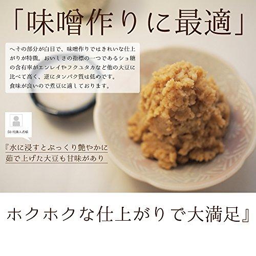 中山大吉商店 北海道産大豆 とよまさり1kg