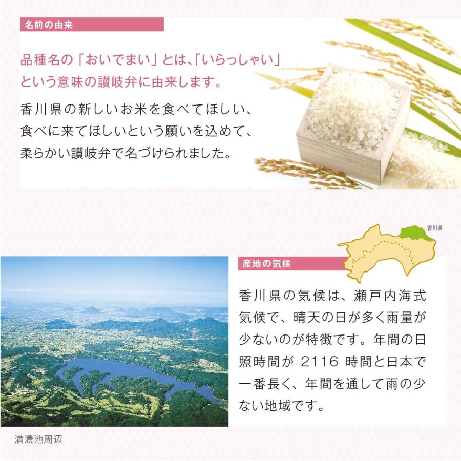 米 お米 米20kg 白米 送料無料 おいでまい 香川県産 安い 米 20kg こめ20kg 米20キロ お米20キロ お米20kg 精米 単一原料米 令和5年産 新米 美味しい 応援 高級