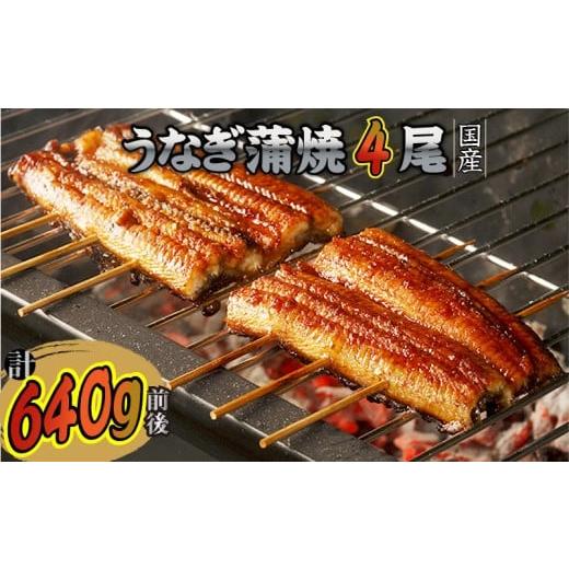 ふるさと納税 福岡県 飯塚市 国産うなぎの蒲焼き(4尾)