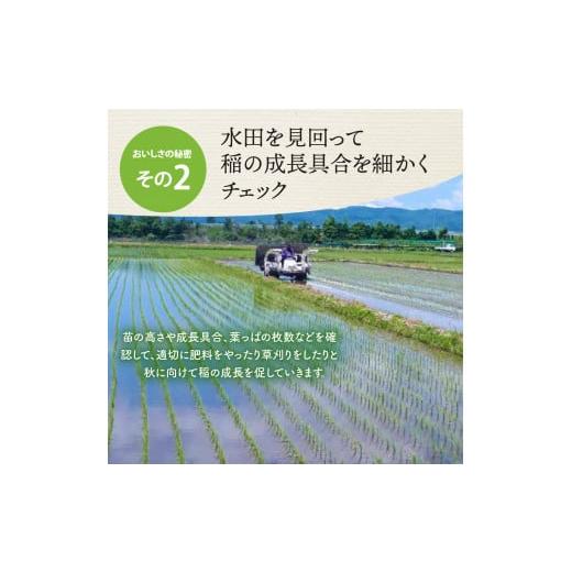 ふるさと納税 山形県 河北町 2024年5月上旬発送 特別栽培米 つや姫20kg（5kg×4袋）山形県産 