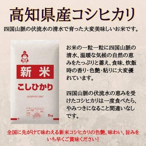 新米 令和5年産 20kg 高知県産コシヒカリ (5kg×4袋) 米 令和5年