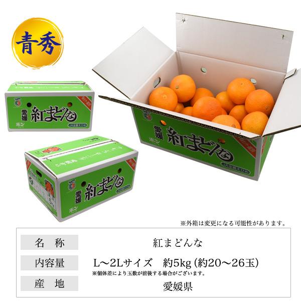 紅まどんな 青秀 L〜2Lサイズ 約5kg(約20〜26玉)  愛媛県産 みかん 紅マドンナ 最高級みかん 薄皮 甘い 贈答用 熨斗対応可能 常温配送