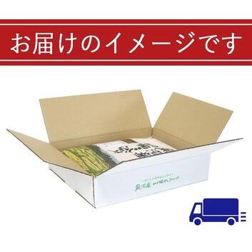 ふるさと納税 魚沼産川西こしひかり2kg　新潟県認証特別栽培米　令和5年度米 新潟県十日町市