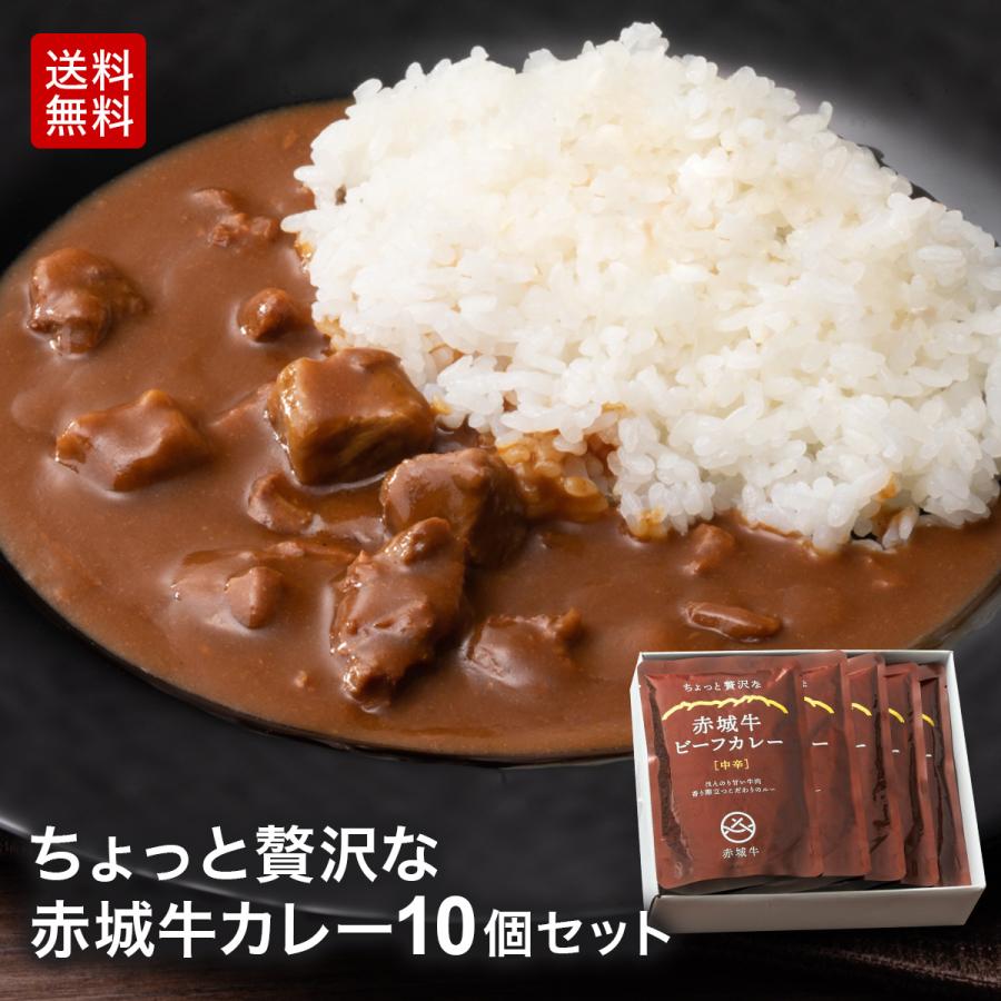 カレー レトルト 高級 ギフト ちょっと贅沢な 赤城牛 ビーフ カレー セット 中辛 200g ×10 肉 牛肉 送料無料 お取り寄せ グルメ プレゼント 贈り物