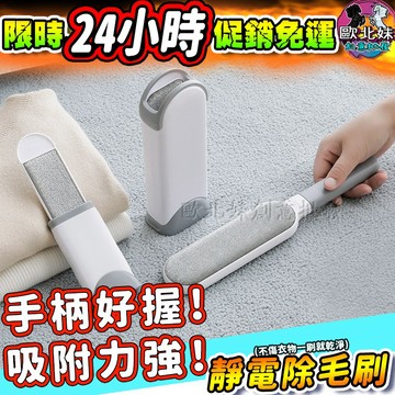 【台灣現貨🔥24H出貨】黏毛器 除毛刷 除毛器 靜電除毛刷 除毛清潔刷 貓毛除塵刷 靜電刷 除塵刷 除毛 粘毛 除貓毛器