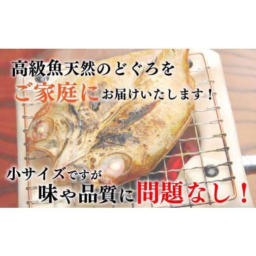 ふるさと納税 山口県 下関市 のどぐろ 高級魚  開き 干し 訳あり 下関 9尾 小サイズ