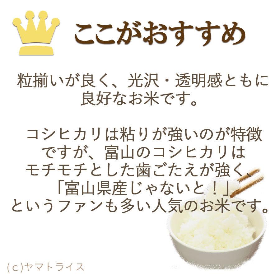 米 お米 コシヒカリ 5kg 富山県産 令和5年産 白米