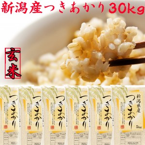 新米 玄米 令和５年産 新潟県産 つきあかり 玄米 30kg 送料無料 5kg×6袋 玄米30kg 新潟米 新潟県産 玄米 お米 玄米30kg 安い 5キロ 農家