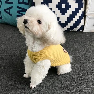 寵物衣服新款春夏裝全棉彈力背心泰迪比熊狗衣服胖狗衣服法斗衣服