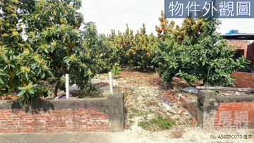 台南麻豆謝厝寮大面寬方正建地｜台南市麻豆區謝安段