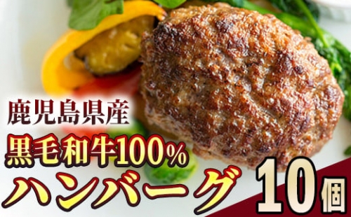 1525 鹿児島県産黒毛和牛100％ハンバーグ10個