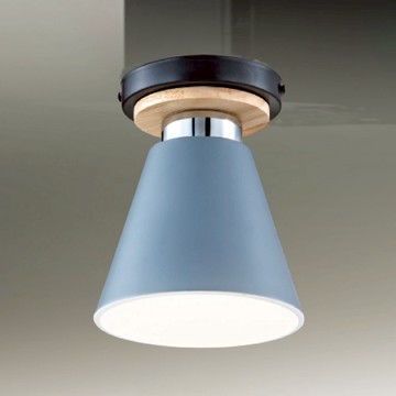 E27北歐風單吸頂燈 B188-53-12-4078