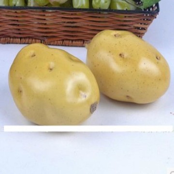 [協貿國際]   仿真土豆加重型