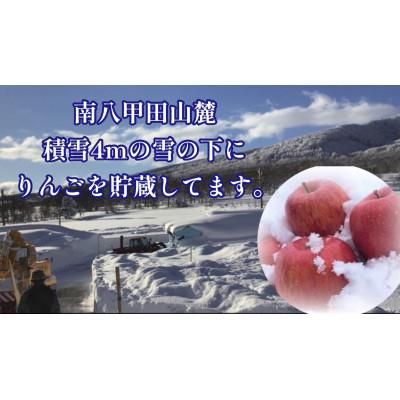 ふるさと納税 青森市 希少なりんご!　青森雪貯蔵りんご(サンふじ)　3kgセット