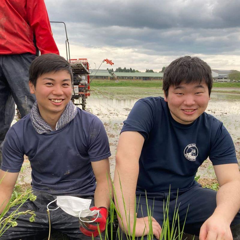 水菜土農園精米新米 宮城県産 ひとめぼれ 15kg (5kg×3袋) 令和4年産 古代米お試し袋付き