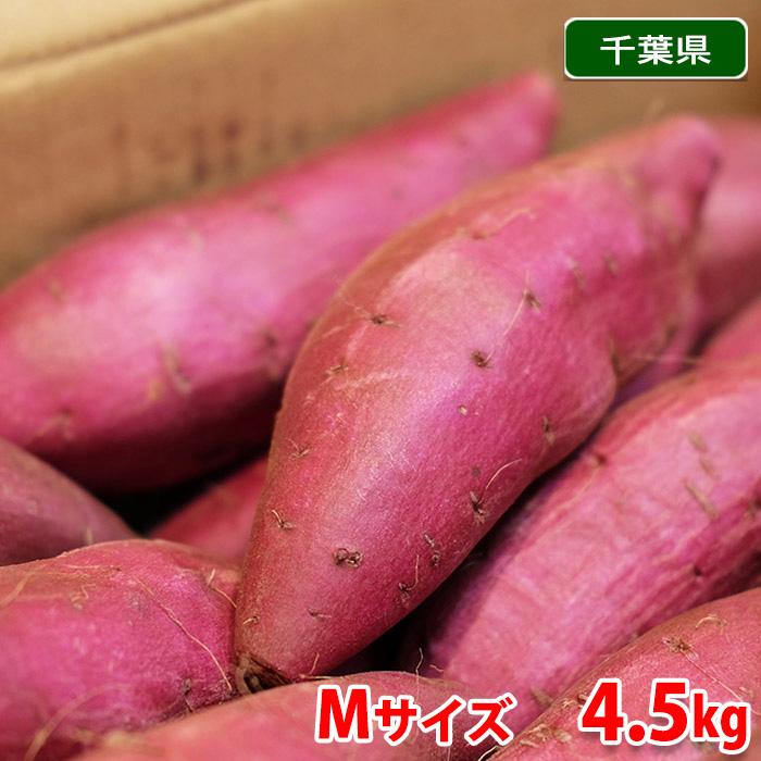 千葉県産（JAかとり）さつまいも　シルクスイート　秀品　Mサイズ　約4.5〜5kg（20本前後入）箱入り