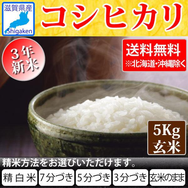 令和5年産 滋賀県産コシヒカリ5Kg玄米  お好きな分つきに 健康応援 送料無料 一部除く