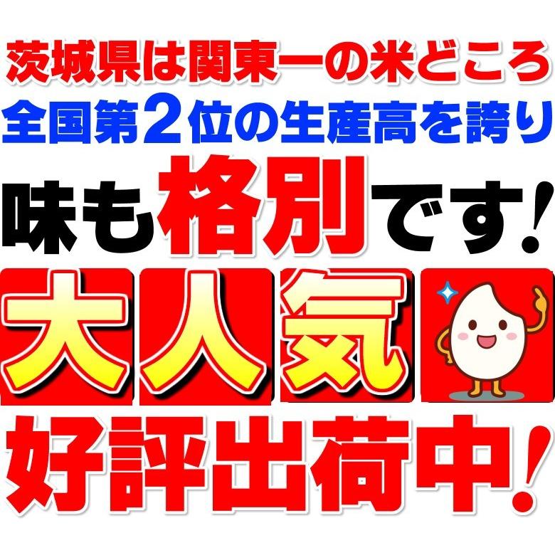 新米 米 お米 白米 コシヒカリ 玄米25k 白米22.5k 茨城県 5年産 送料無料 一部地域除く