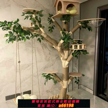 【台灣公司 可開發票】貓爬架貓窩一體貓玩具貓抓板窩貓爬架特價清倉逗貓貓咪攀爬架