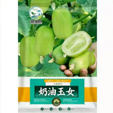 【原廠包裝】玉女小黃瓜種子（Jade Girl Cucumber）生吃涼拌首選！皮薄無刺超脆甜 台灣夏季必種 陽台盆栽