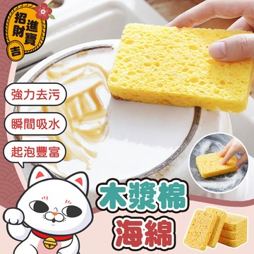 [起泡豐富] 洗碗布 木漿棉海綿 菜瓜布 木漿棉 洗碗刷 洗碗海綿 加厚 木漿海綿 海綿擦 洗碗布 海綿菜瓜布 木漿海棉