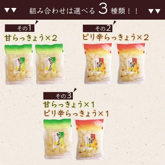 500円 らっきょう らっきょう漬け ラッキョウ ピリ辛らっきょう 甘らっきょう 3種から 選べる 2パック 送料無料 paypay Tポイント消化