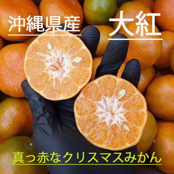 沖縄県産 大紅 3kg 沖縄だけのみかん クリスマスみかん