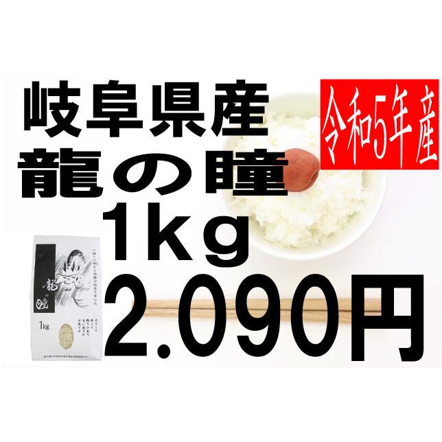 米　令和5年度産　岐阜県産　龍の瞳(いのちの壱) 1kg