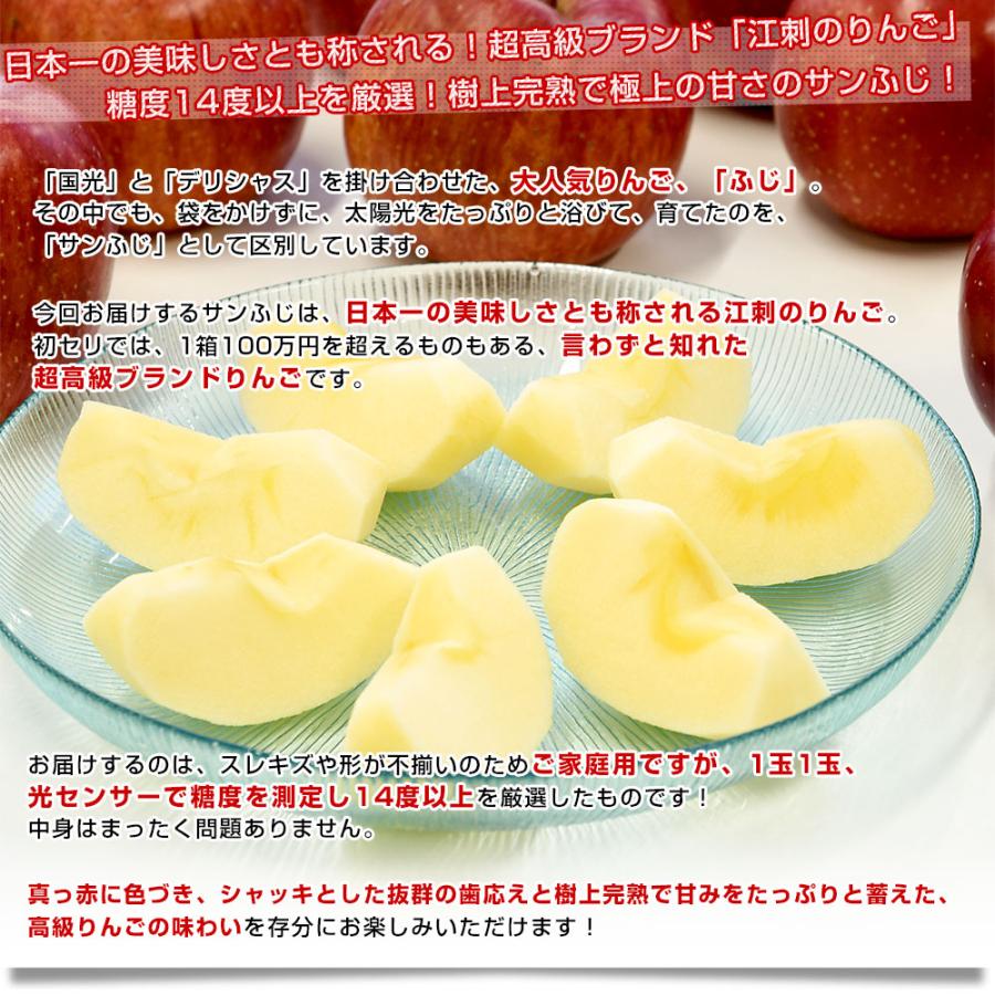 岩手県産 JA江刺 江刺のサンふじ 糖度14度以上 ご家庭向け 約3キロ (8玉から12玉) 送料無料 りんご リンゴ 林檎