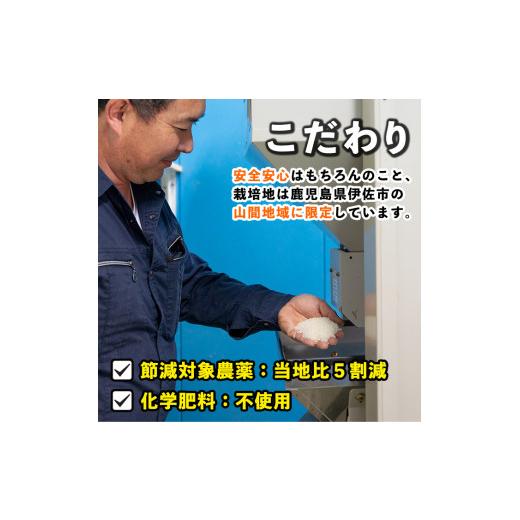 ふるさと納税 鹿児島県 伊佐市 isa277 《数量限定》かめさんのお米(5kg・なつほのか・無洗米) 山間の地区でしかできないこだわりの伊佐米