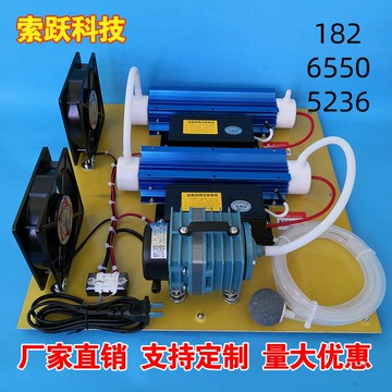 【便宜有好貨】10g20g/h克臭氧發生器石英臭氧管大氣泵風冷簡易機殺菌消毒水處理