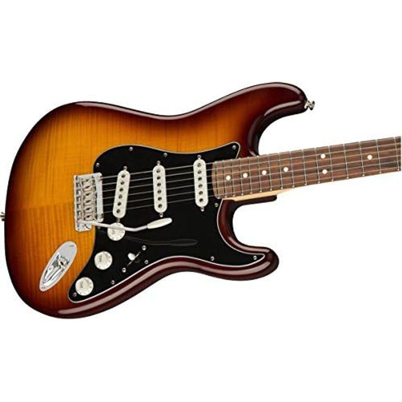 Fender エレキギター Player Stratocaster? Plus Top, Pau Ferro Fingerboard, To