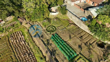 楊梅七百年老樟樹旁靈地美田+甲建(持分)｜桃園市楊梅區永寧段