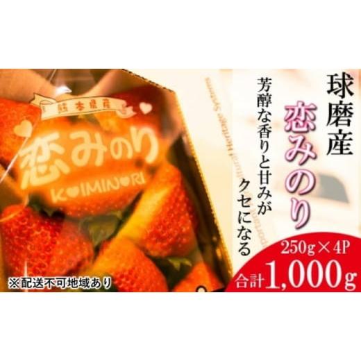 ふるさと納税 熊本県 錦町 いちご 先行予約 錦町産 イチゴ 恋みのり 約250g×4P 3L サイズ 2023年12月上旬より順次発送 配送不可 離島