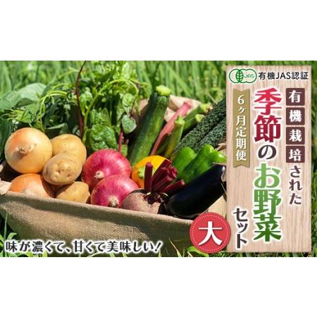 ふるさと納税 《有機JAS認証》オーガニック 季節のお野菜セット（大）定期便 6ヶ月連続 F21R-866 福島県白河市