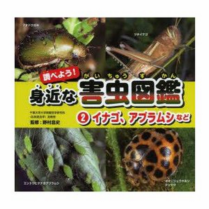 調べよう 身近な害虫図鑑 2 イナゴ アブラムシなど 野村昌史 監修 工藤美也子 著 通販 Lineポイント最大0 5 Get Lineショッピング