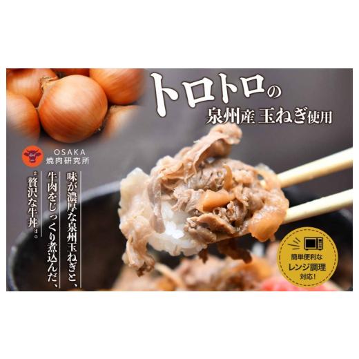 ふるさと納税 大阪府 泉佐野市 北国からの贈り物 定期便 牛丼の具 1.5kg（150g×10）全3回