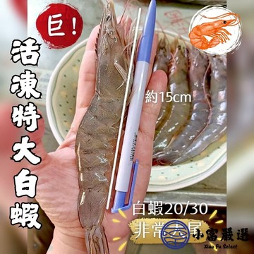 【小富嚴選】活凍白蝦 特大號 大白蝦 生白蝦 20/30生白蝦 蝦子 白蝦(850g/盒) 紅太陽 紅太陽白蝦 生白蝦 活凍白蝦 20/30 30/40