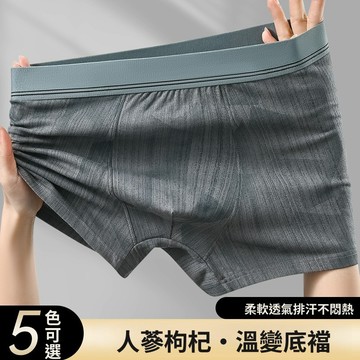 【台灣有貨🌟】男士棉內褲 男款四角內褲 抑菌襠 寬松透氣 大碼平角褲 四角短褲 舒適男內褲 純棉內褲