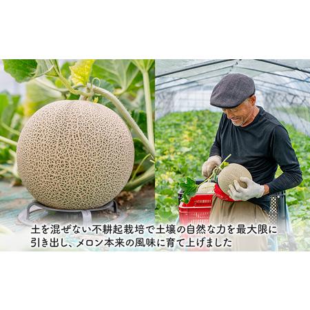 ふるさと納税 北海道 富良野産 赤肉メロン 5玉 1.6kg〜2kgサイズ ふらの メロン ギフト 果物 赤玉 (榎本農園) 北海道富良野市