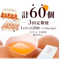名古屋コーチン卵・仙寿卵お試しセット（各10個入り）×3回（計各30個） [006K02-T]
