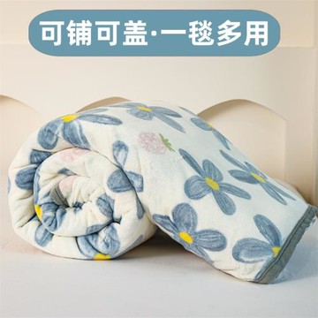 小清新牛奶絨毛毯加厚保暖云貂絨毯子法萊絨午睡毯空調毯蓋毯批發