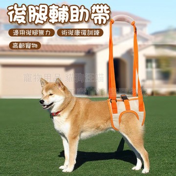 寵物後腿輔助帶 寵物輔助帶 後腿輔助帶 輔助帶 老犬輔助帶 高齡犬 老犬 術後康復補助帶 寵物協助帶 寵物輔助用品