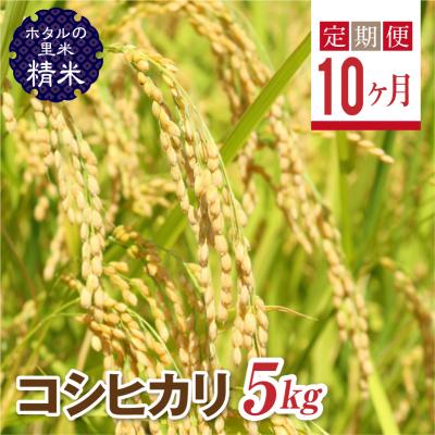 ふるさと納税 西会津町  栽培期間中、農薬を減らした栽培米 コシヒカリ精米5kg