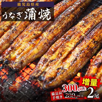 ふるさと納税 大崎町 うなぎ備長炭手焼蒲焼2尾(合計300g以上)